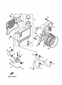XF50D ﾗｼﾞｴﾀ & ﾎｰｽ