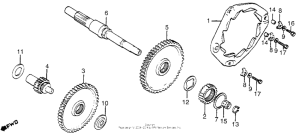 TG50 Трансмиссия