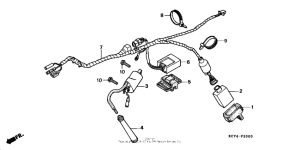 XR400R Жгут проводов