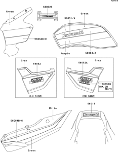 ZR1200 Decals(green / purple)(zr1200-a1)