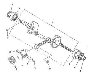 CY50R Ciguenal. pistun