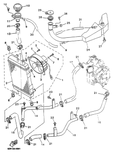 YP125 Radiator. hose