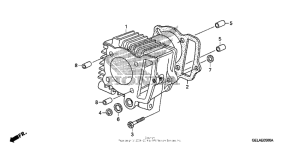 CRF50F Цилиндры