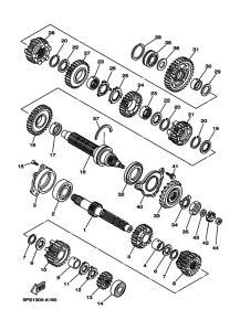 TDM900 Трансмиссия