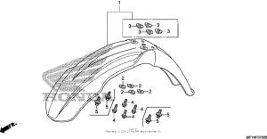 Переднее крыло