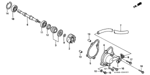 CH125 Водяная помпа
