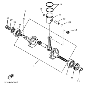 CW50 Коленчатый вал и поршни