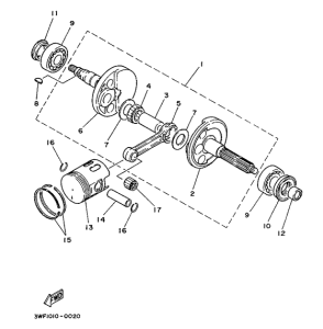 CY90 Ciguenal. pisttn