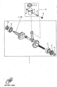 CW50RS Ciguenal. pistun