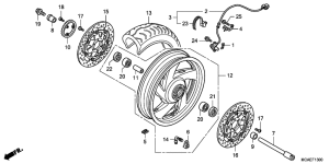GL1800 (ABS) Transom + tube