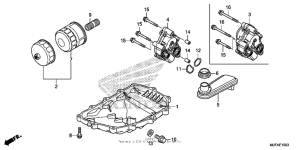 CTX700N DCT Oil pan + oil pump