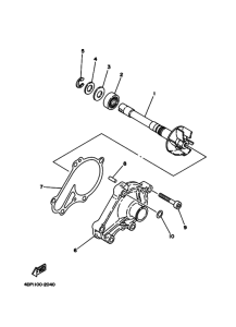 TZ250 Водяная помпа