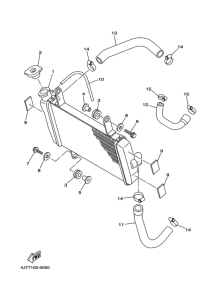 TZ125 Радиатор hose