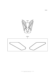 ZR900 Accessory (Pads)