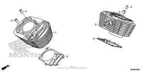VT1300CT Цилиндры