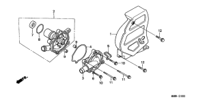XL600V Водяная помпа