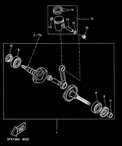 CW50 Ciguenal piston