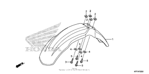  Переднее крыло