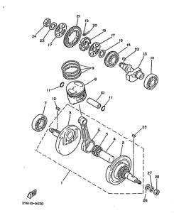 SR250 Ciguenal. pisttn