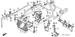 FES250 Радиатор