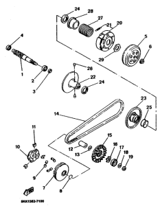 YN100 Сцепление