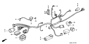 NSR50S Wire harness /  ignition coil