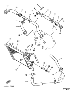 TZ250T Radiator. hose