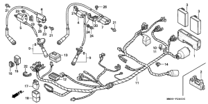 XL600V Wire harness /  ignition coil