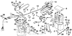 MT250 Жгут проводов