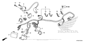  Жгут проводов