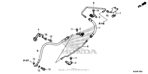 GL1800C Rear brake hose (std)