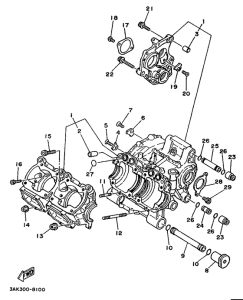 TZ250U Картер двигателя
