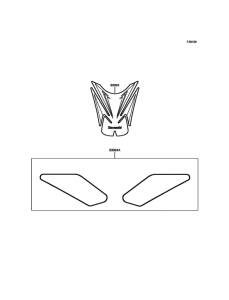 ZR900 Accessory(Pads)