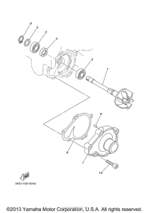 TZ250M Водяной насос