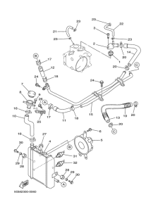 YP250 Radiateur & tuyau