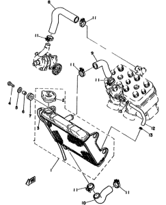 TZ250F Радиатор