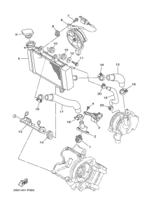 T135FI Radiator & hose