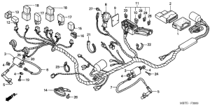 XL1000V Harness wire