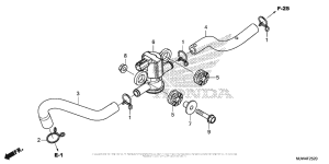 CB500X (ABS) Air Injection Solenoid Valve