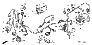 PS250 Жгут проводов