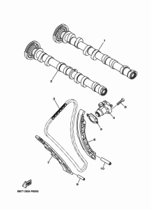MTN1000 Camshaft & chain