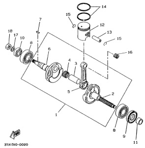 CW50T Коленчатый вал и поршни