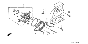 XL600V Водяная помпа
