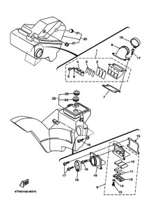 TZ250 Впускная система