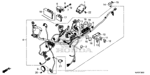 CTX700N DCT Жгут проводов