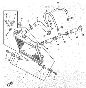 TZR50 Radiator. hose