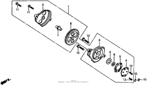 XR80R Масляный насос