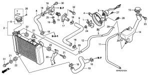 CBR125RW Радиатор