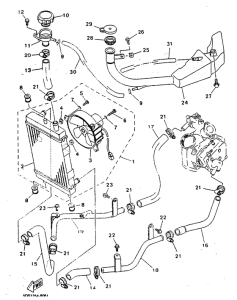 YP125 Радиатор