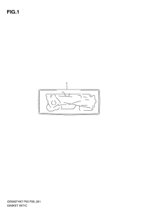 GS500 Front plate seal